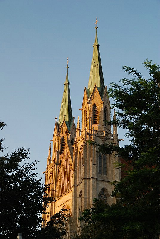 DSC_6319.JPG
