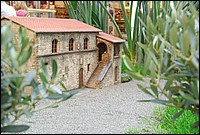 DSC_1767.JPG