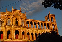 DSC_4625.JPG