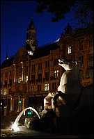 DSC_4697.JPG