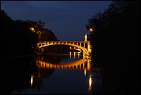 DSC_5712DRI.jpg