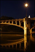 DSC_5724DRI.jpg