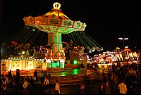 DSC_6784.JPG