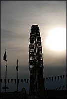 DSC_8449.JPG