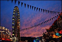 DSC_8576.JPG