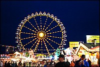 DSC_8730.JPG