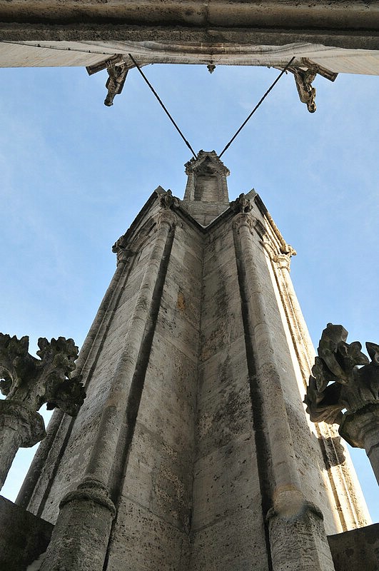 DSC_6874.JPG