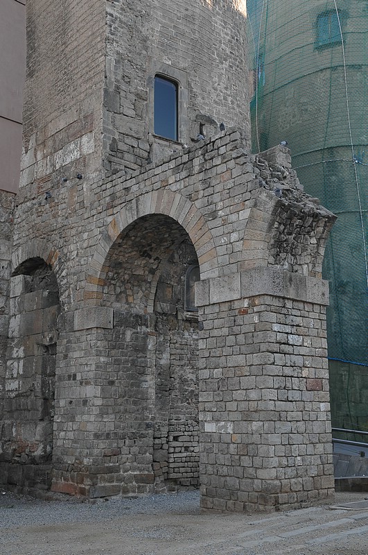 DSC_0210.JPG