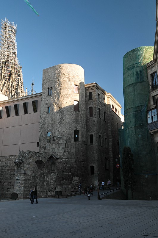 DSC_0242.JPG