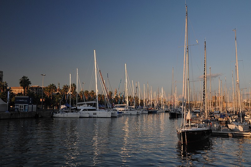 DSC_0411.JPG