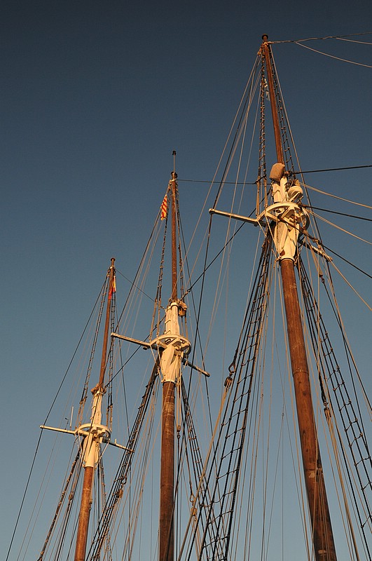 DSC_0427.JPG