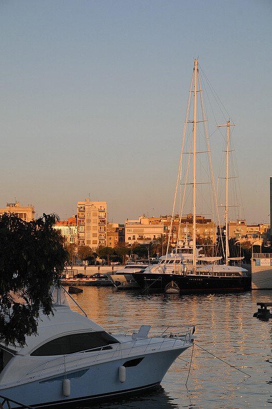 DSC_0442.JPG