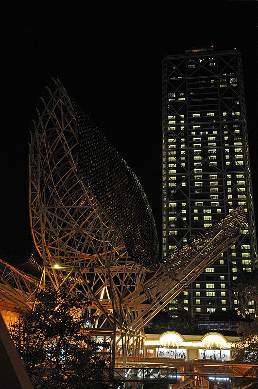 DSC_0610E.jpg