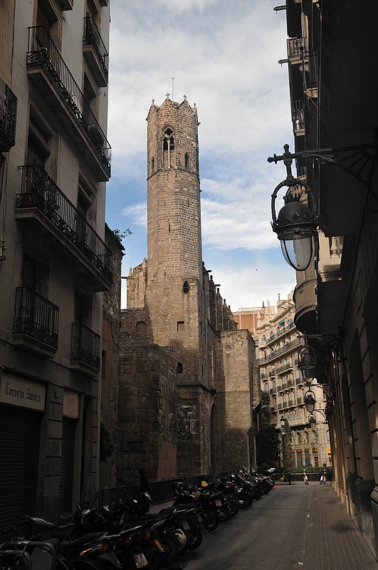 DSC_1579.JPG