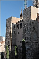 DSC_0228.JPG