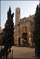DSC_0255.JPG