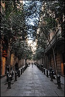 DSC_0273.JPG