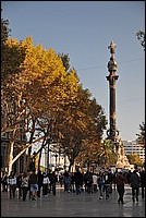 DSC_0299.JPG