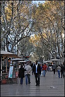DSC_0313.JPG