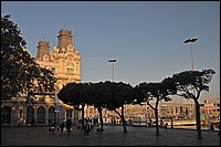 DSC_0380G.jpg
