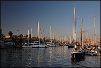 DSC_0411.JPG