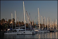 DSC_0415.JPG