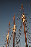DSC_0427.JPG