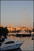 DSC_0442.JPG