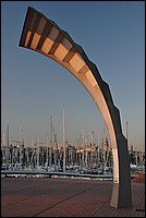 DSC_0449.JPG