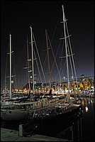 DSC_0537G.jpg