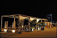 DSC_0548G.jpg