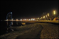 DSC_0588DG.jpg