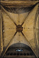 DSC_1593.JPG