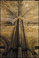 DSC_1599.JPG