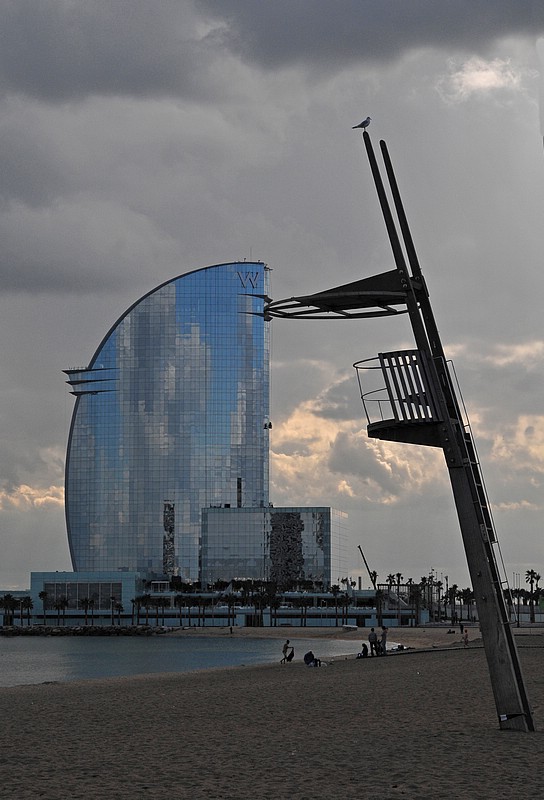 DSC_0866D.jpg