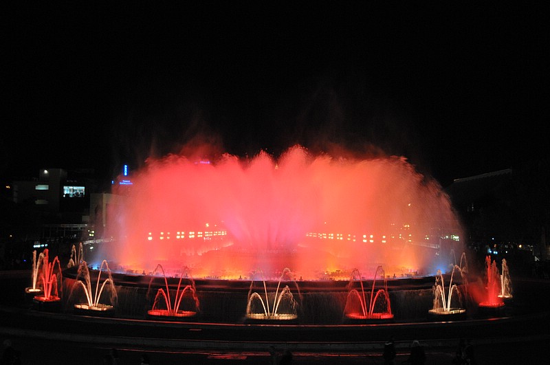 DSC_1515.JPG