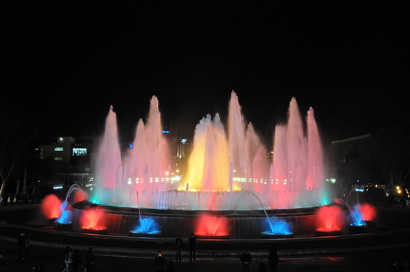 DSC_1542.JPG
