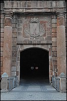 DSC_1010.JPG