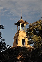 DSC_1206.JPG