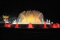 DSC_1437D.jpg