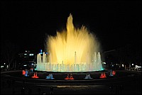 DSC_1548.JPG