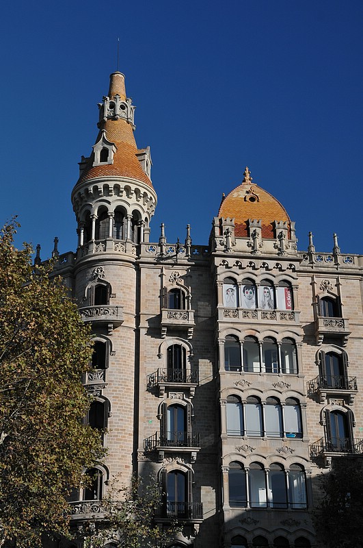 DSC_0637.JPG