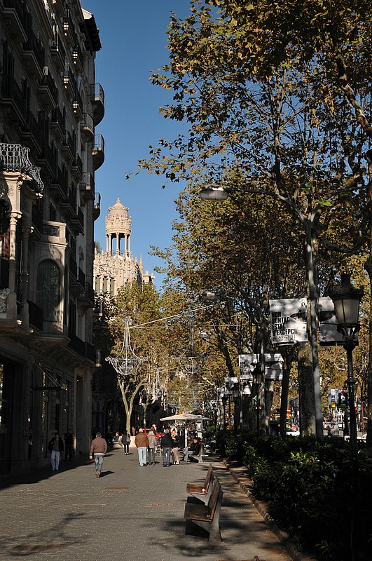 DSC_0642.JPG