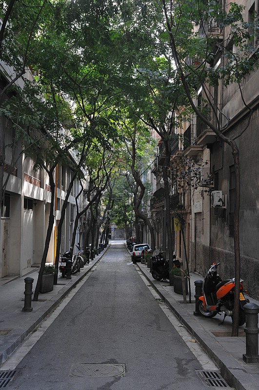 DSC_1705.JPG