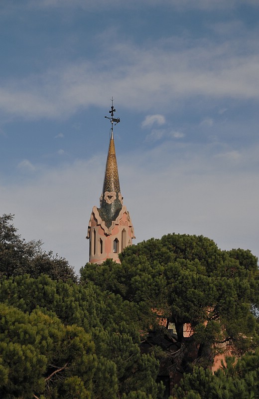 DSC_1964D.jpg