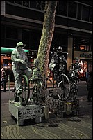 DSC_1279.JPG