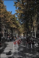 DSC_1781.JPG