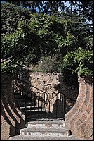 DSC_1919.JPG