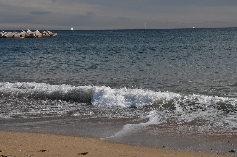 DSC_2416.JPG