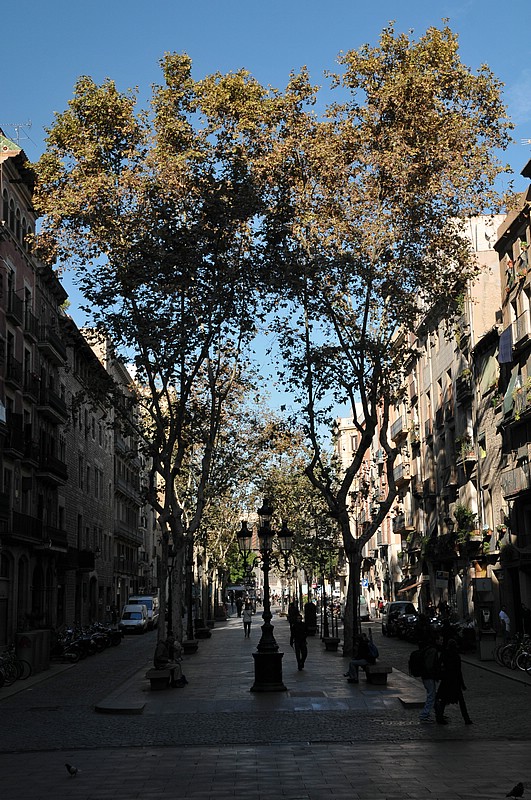 DSC_2482.JPG